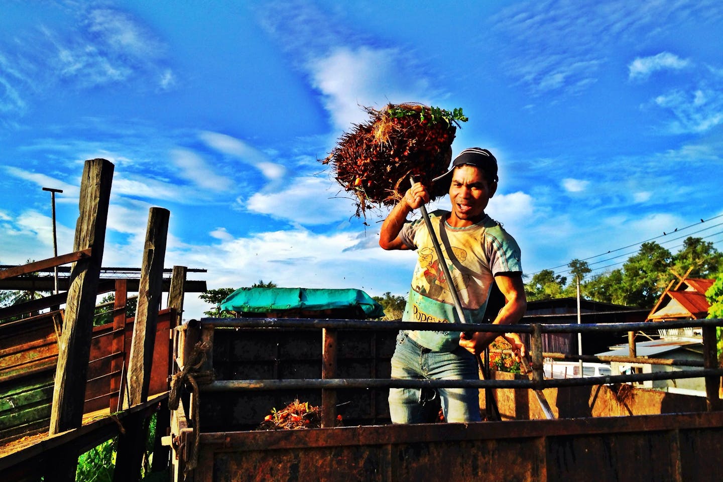 Malaysian oil palm worker