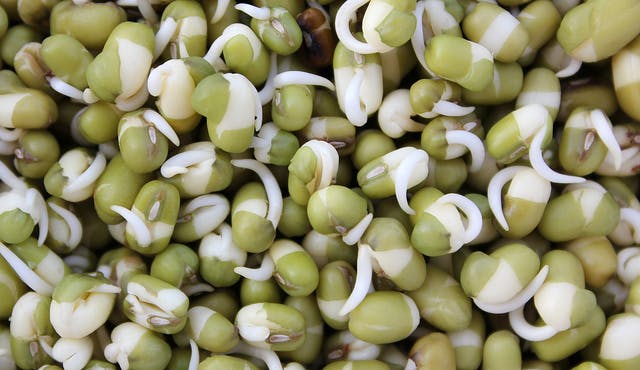 green mung beans