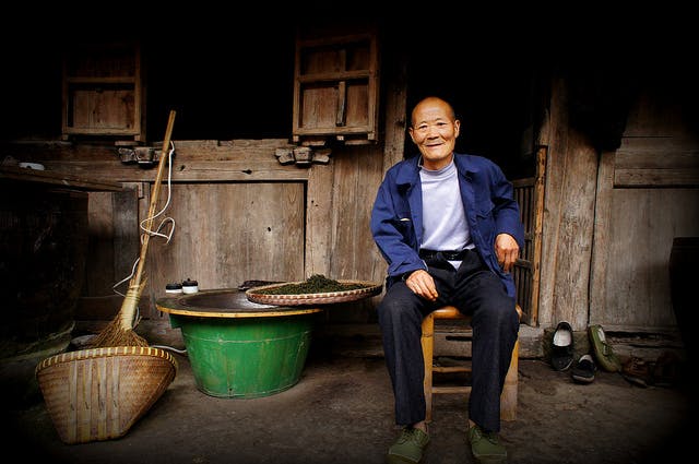 green tea farmer china