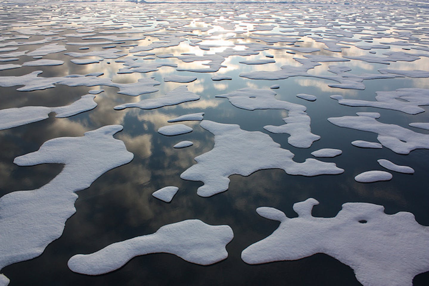 sea ice patterns