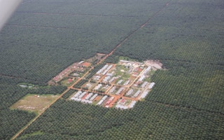 palm oil central kalimantan id