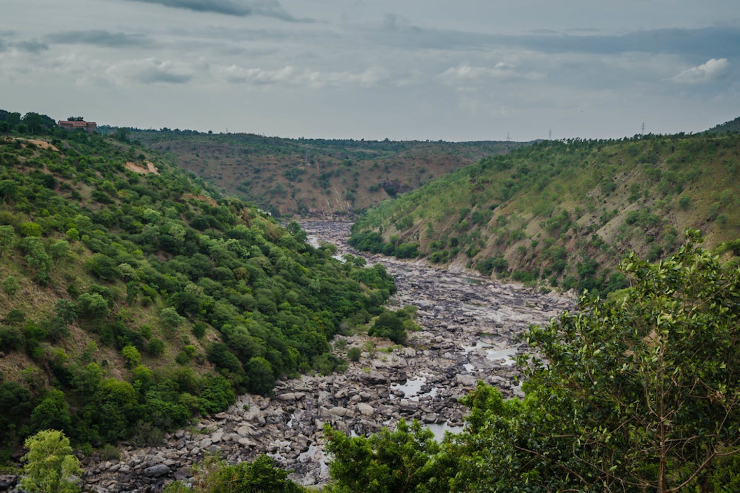 kaveri river india