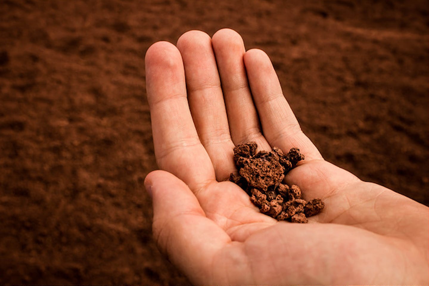 soil on hand