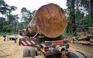 timber in Cameroon