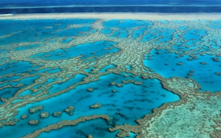 Great Barrier Reef disappearance