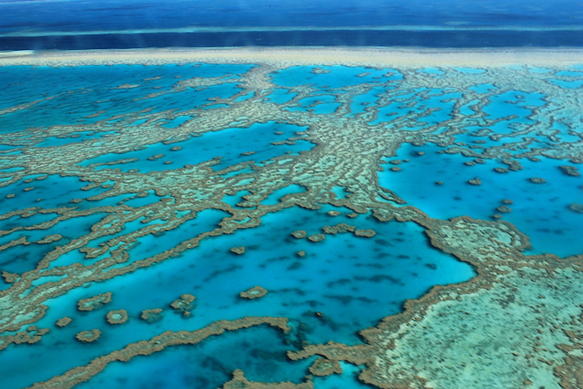 Great coral reef. Великий Барьерный риф Австралия. Коралловые рифы большой Барьерный риф. Большой коралловый риф в Австралии. Большой Барьерный риф ЮНЕСКО.
