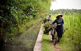 Irrigation in Indonesian farm