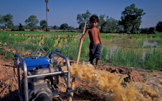 Child in rice paddy in Cambodia