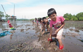Children plant mangrove saplings in the Philippines
