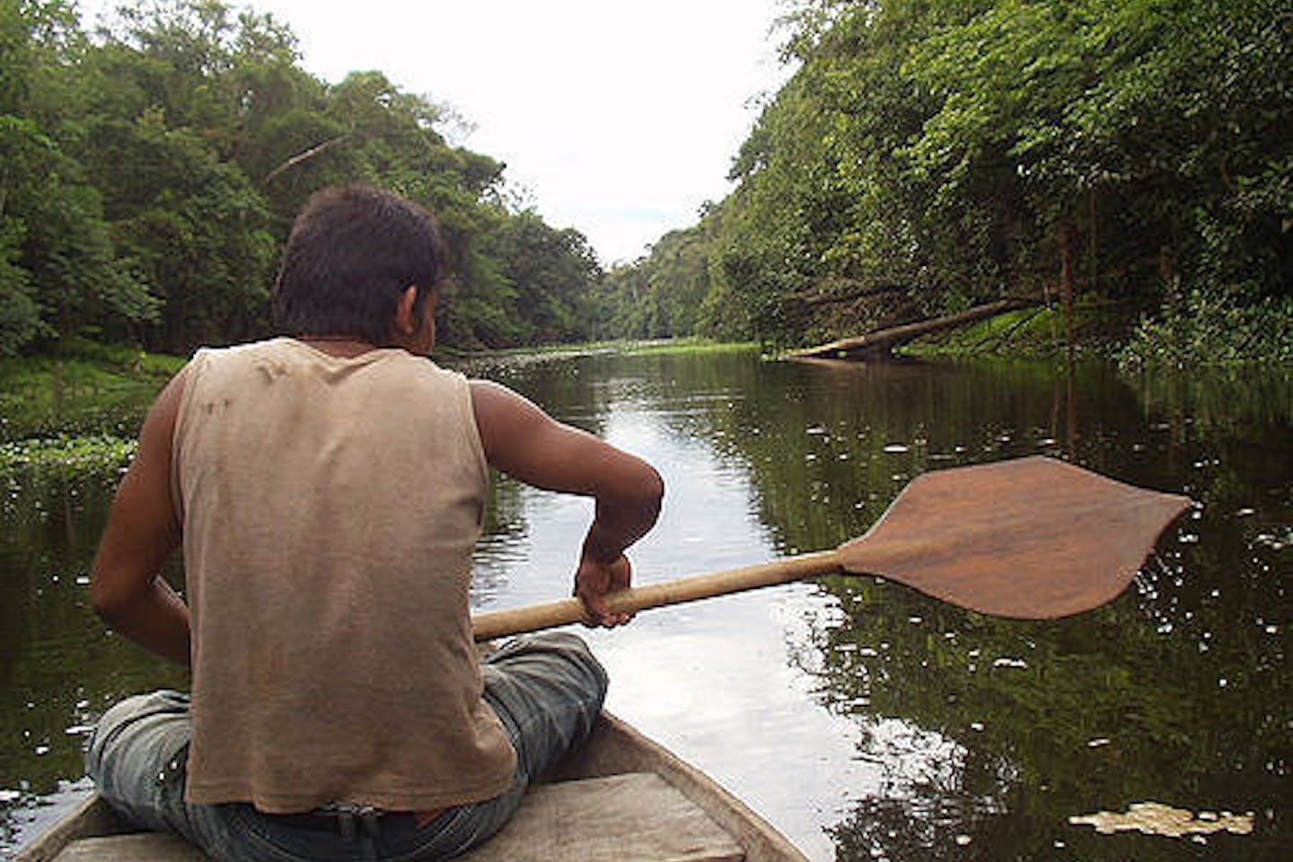 Amazon River