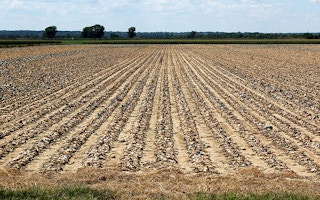 US farms in drought