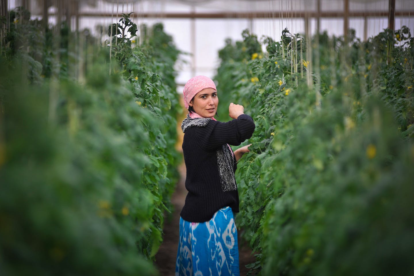 woman greenhouse uzbekistan