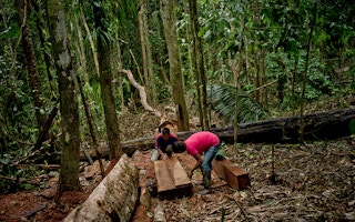 deforestation in Ecuador