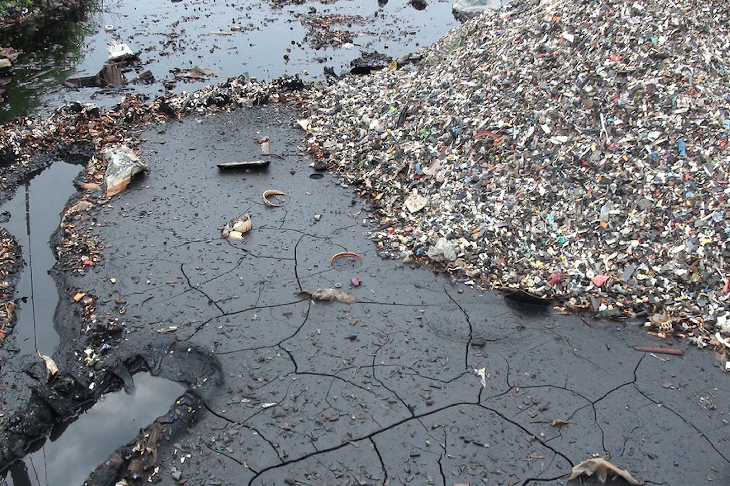 soil pollution china