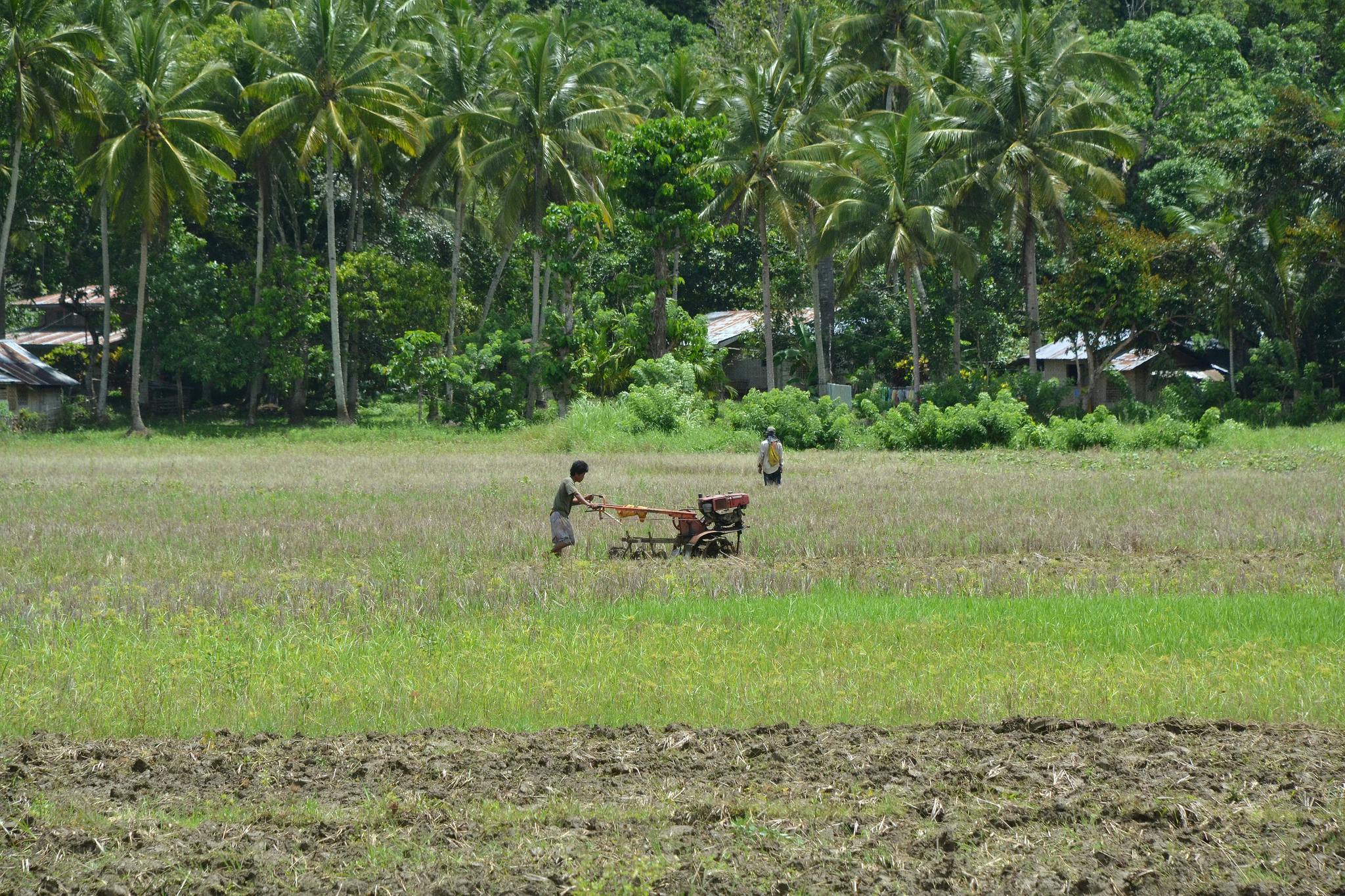 farmer in bohol