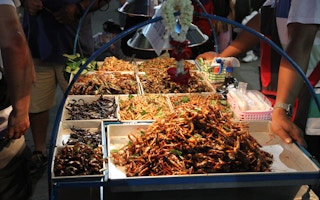Bangkok insect food