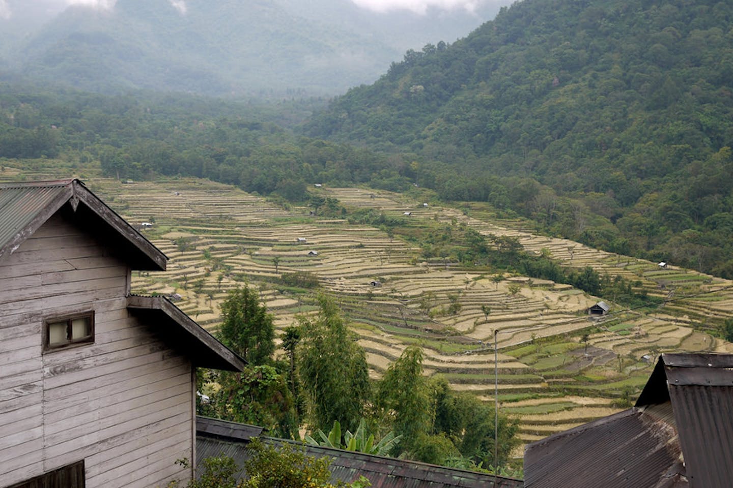 Khonoma village India