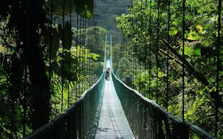 A walk through primary rainforest in Costa Rica