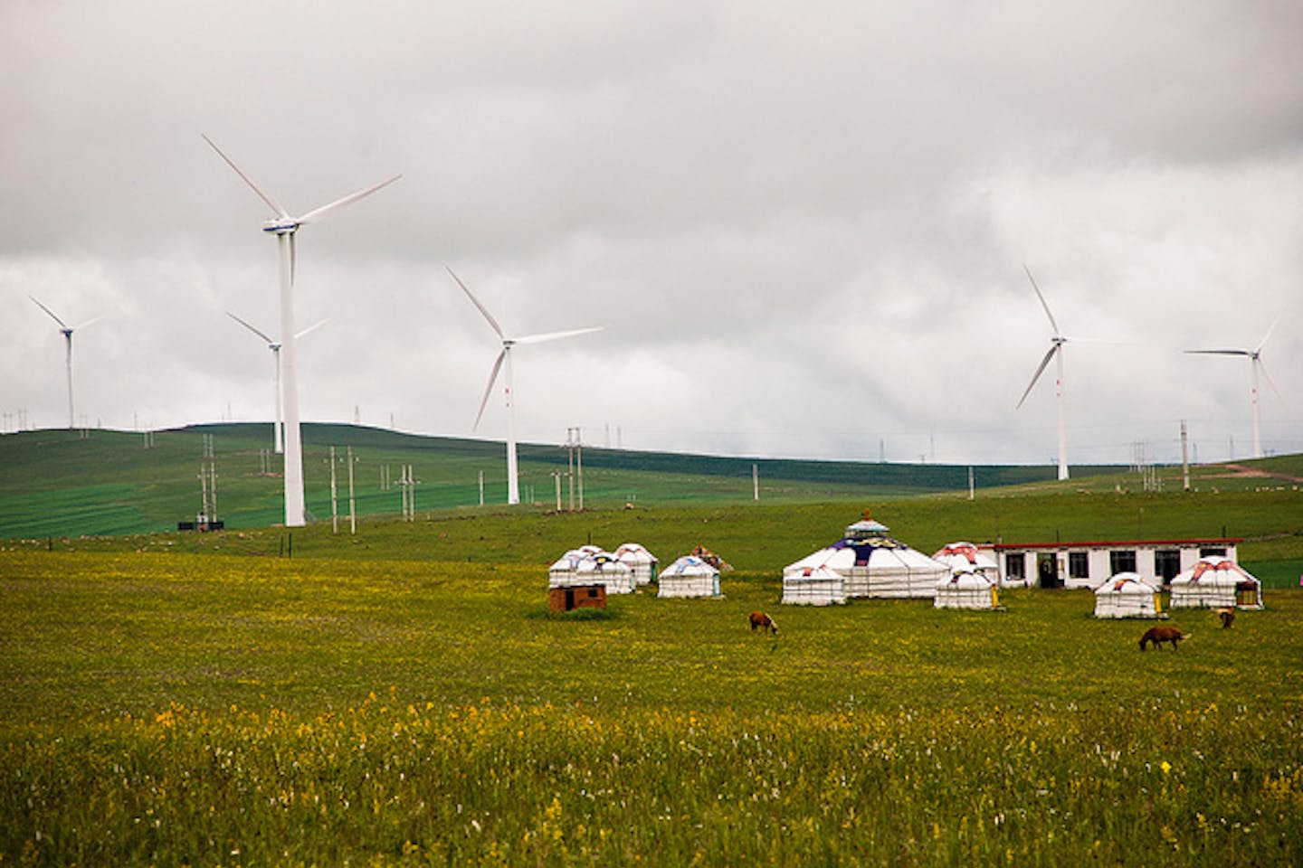 wind farm in remote city in China