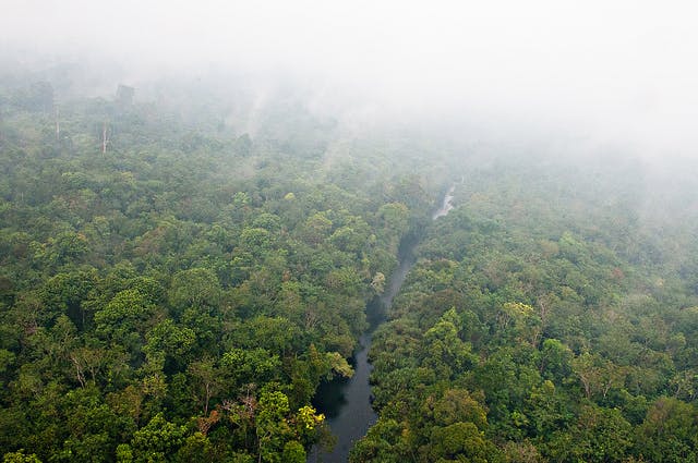 forest fires in Indonesia