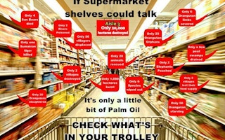 palm oil everywhere