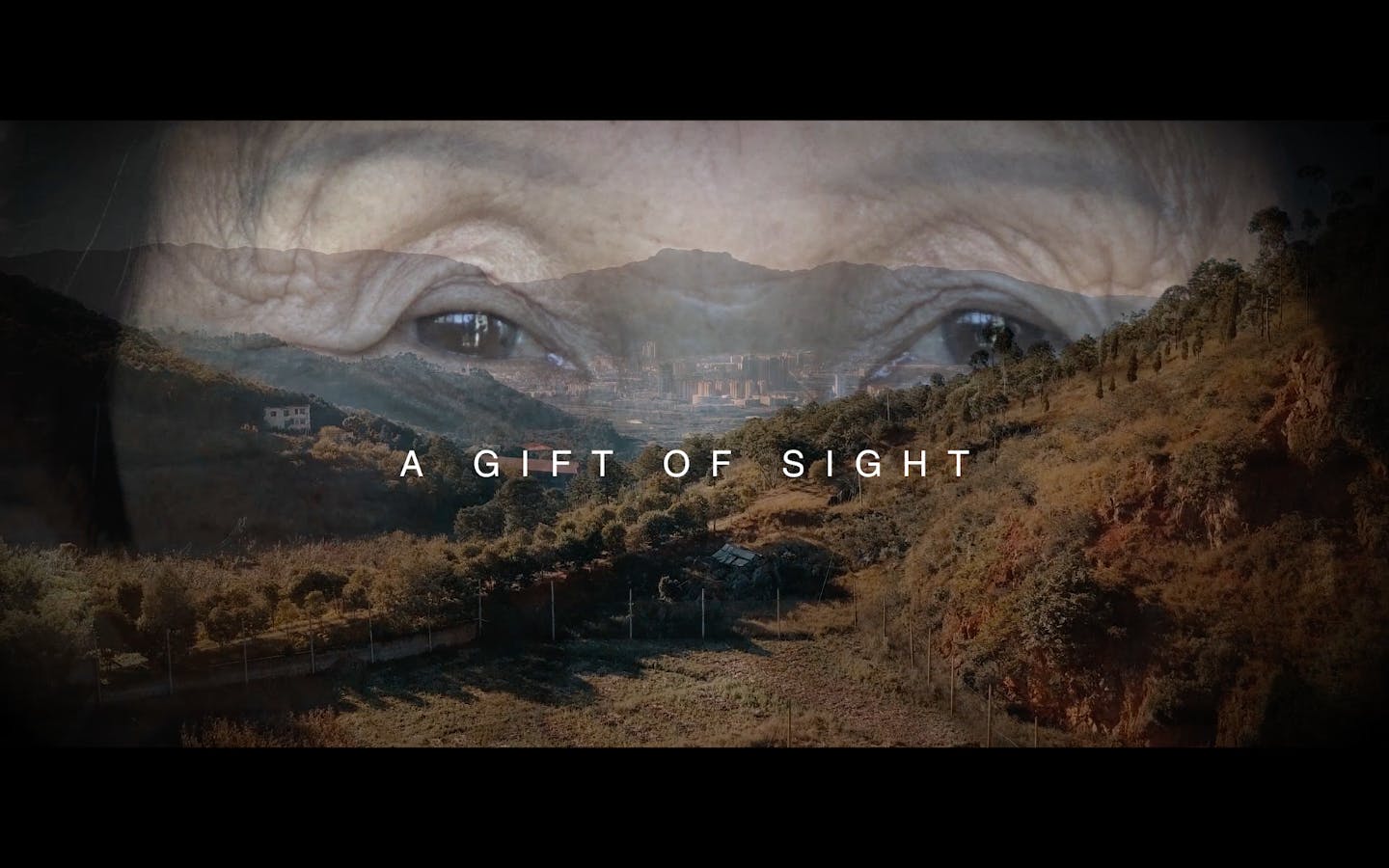 A gift of sight thumbnail image