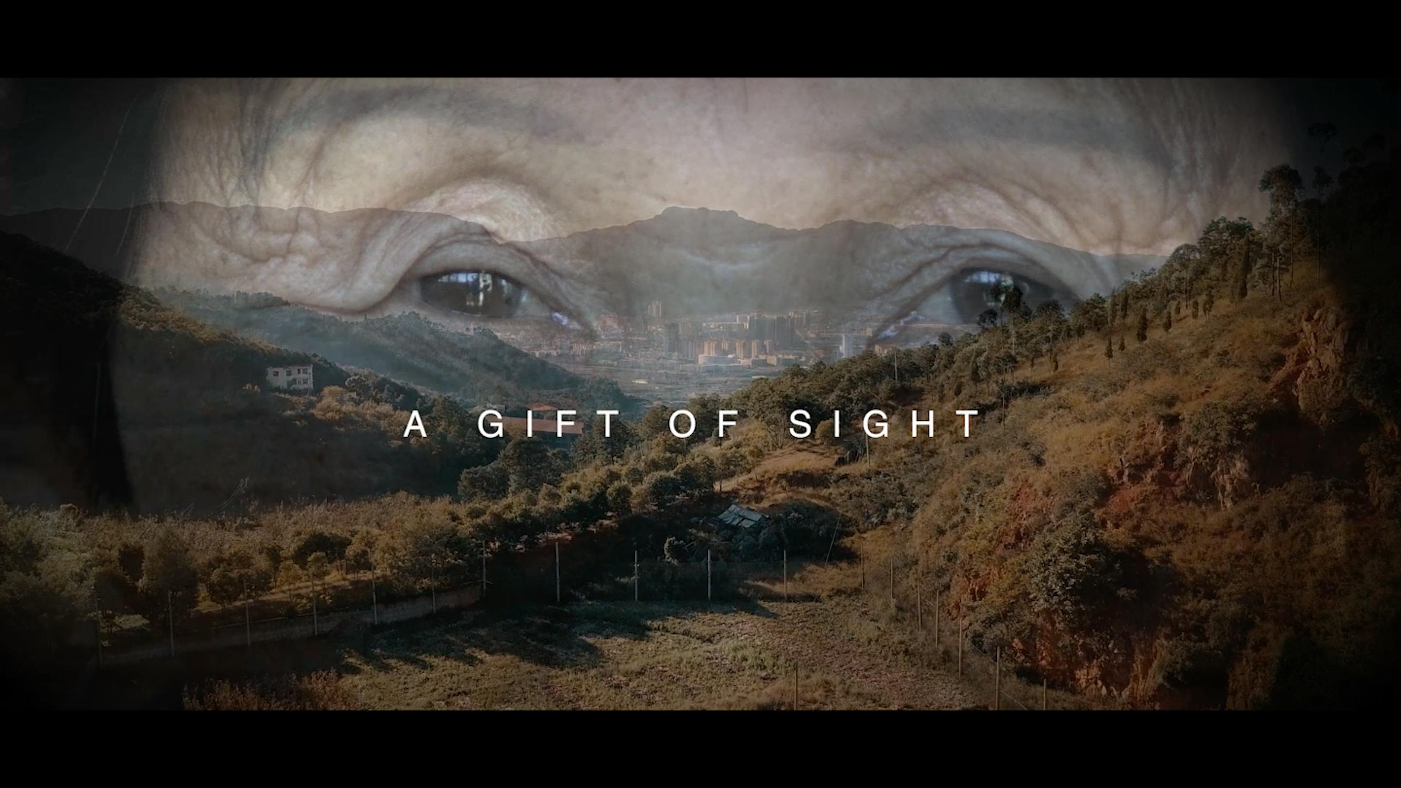 A gift of sight thumbnail image