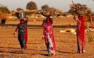 Indian women carrying firewood