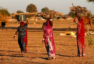 Indian women carrying firewood