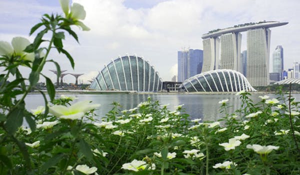 Singapore garden