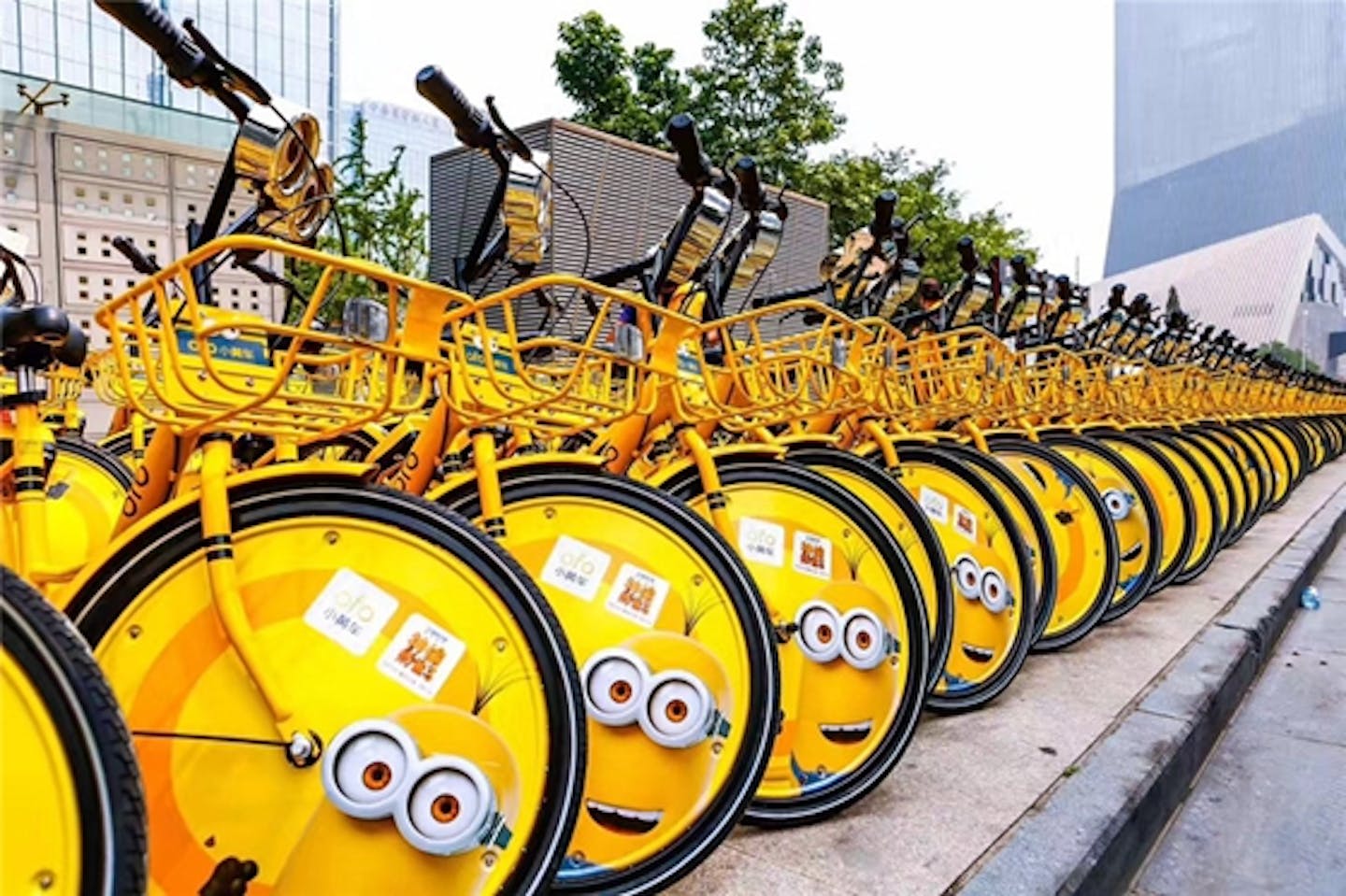 ofo's