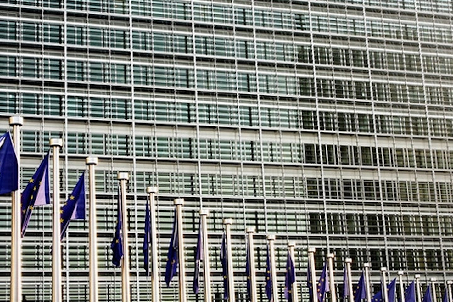 EU flags