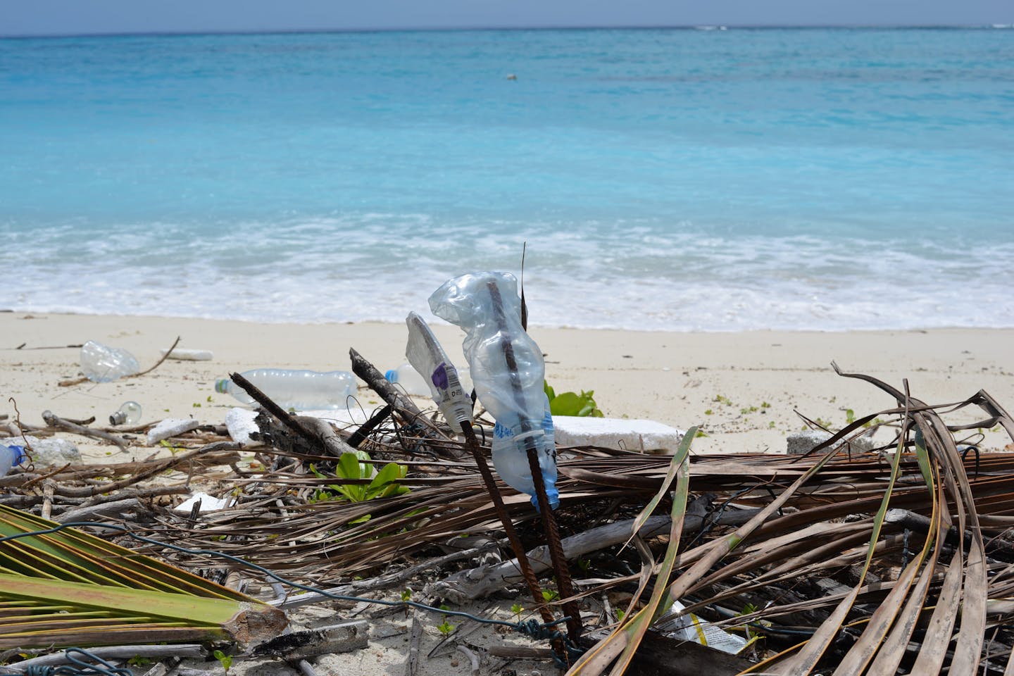 bottle beach plastic