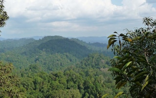bukit tigapuluh sumatra