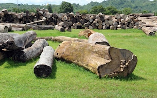 myanmar deforestation timber