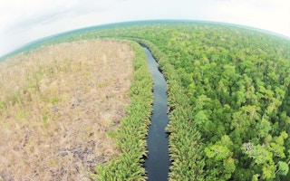 palm oil concession in air hitam laut sumatra