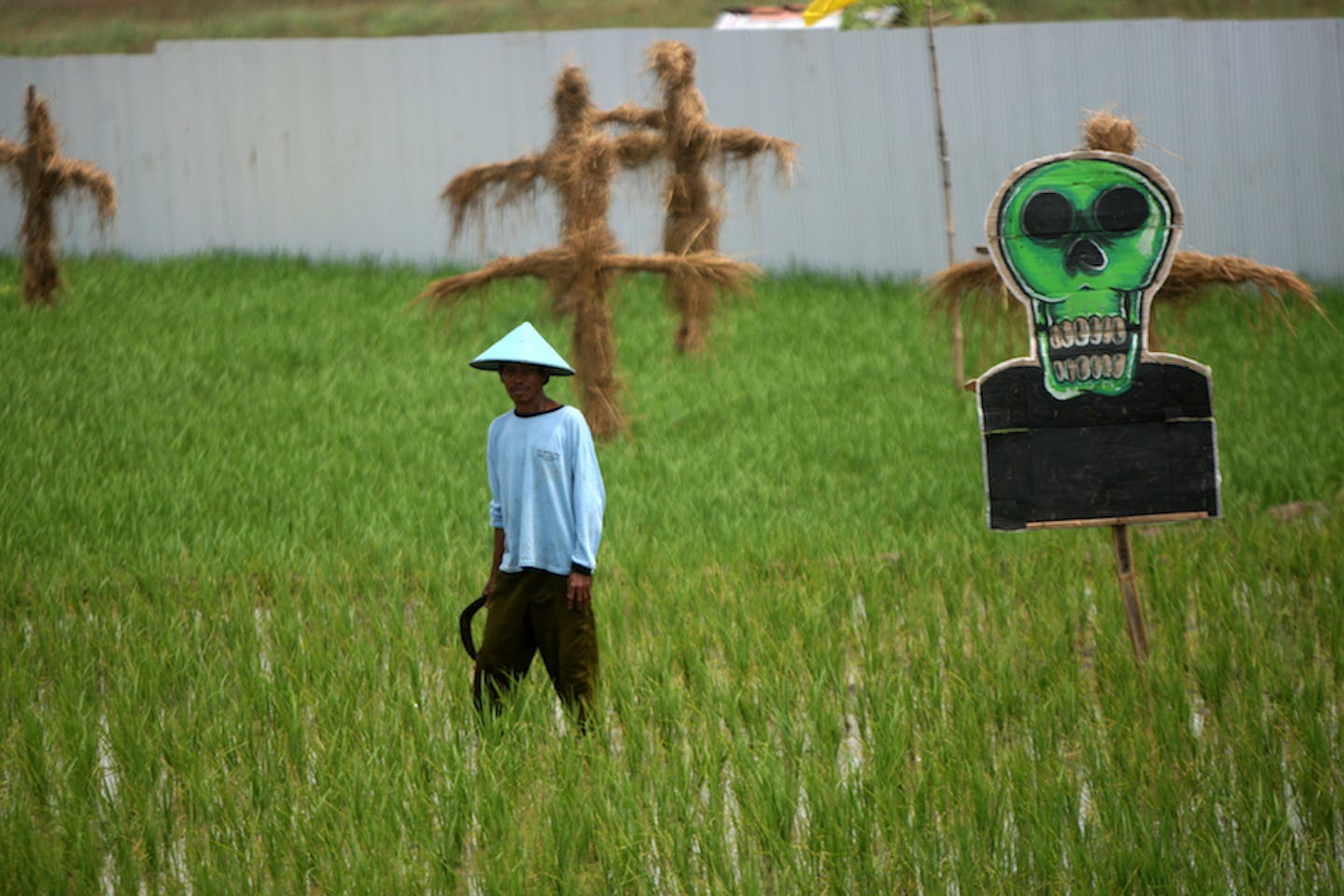 farmer protests coal mining