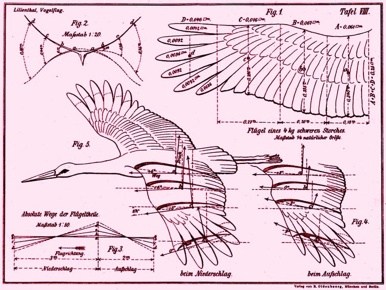 biomimicry diagram