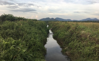 A waterway runs through a palm oil estate owned by Golden Agri Resources. Water is critical to restoring peat forests burned in the fires of 2015