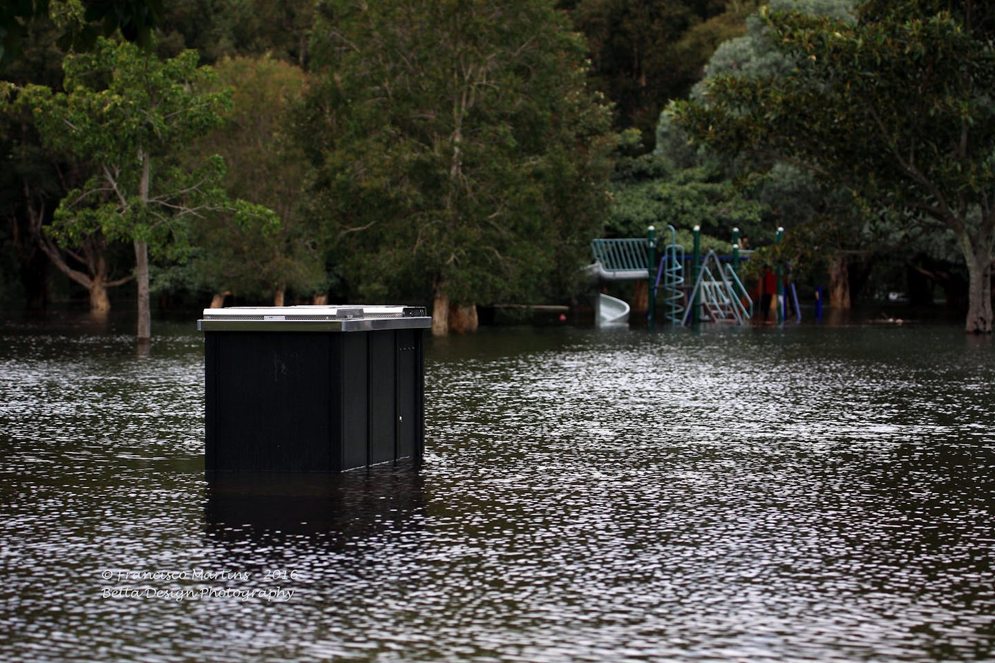 flooded centennial park