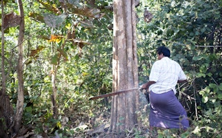 chainsaw loggers Myanmar