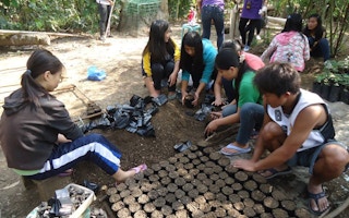 Young tree planters in the Philippines 