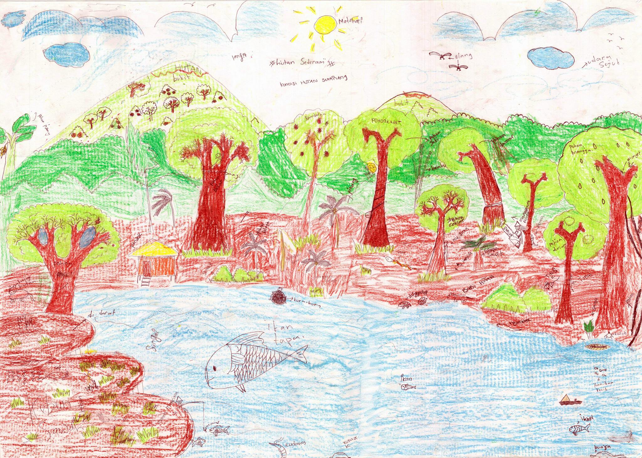 cifor children art