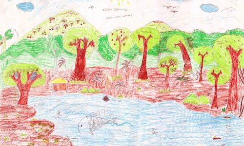 Borneo study draws lessons from children’s perceptions of forests