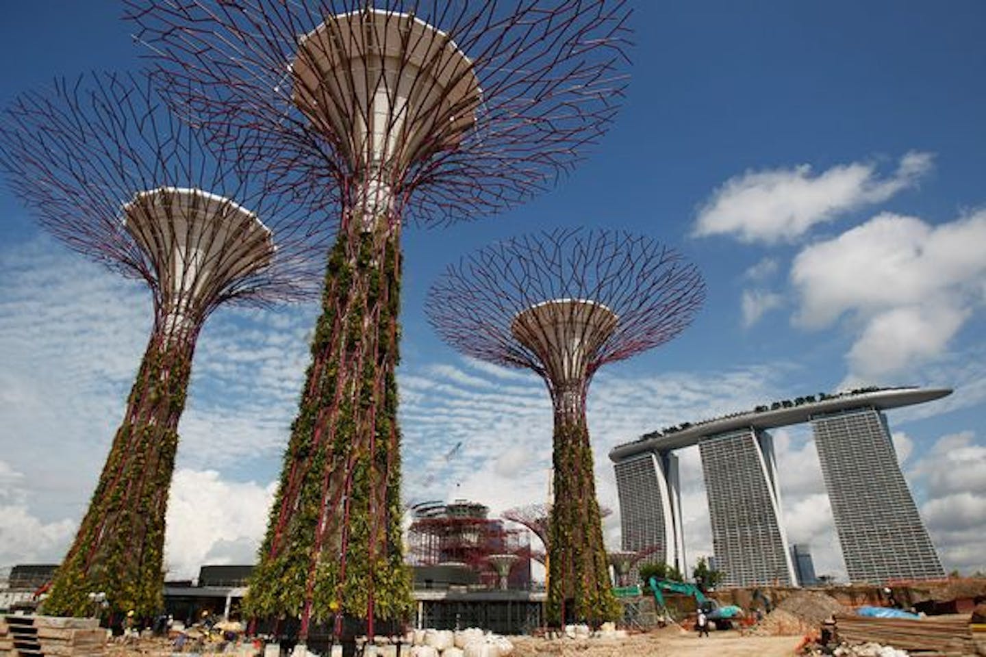 Growth of green buildings in Singapore