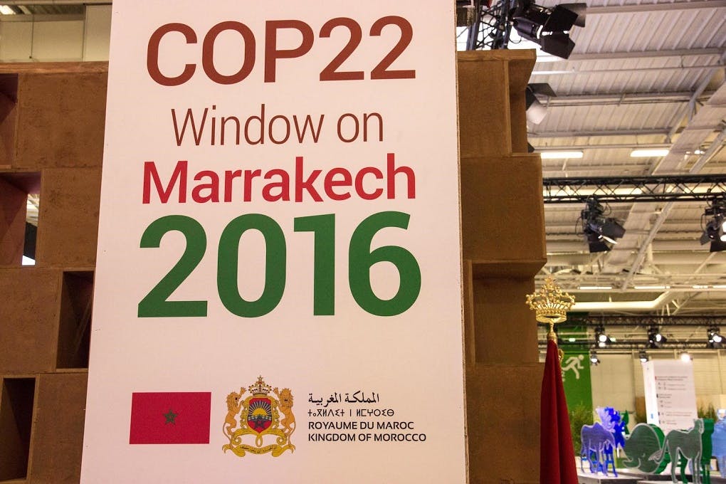 COP22 