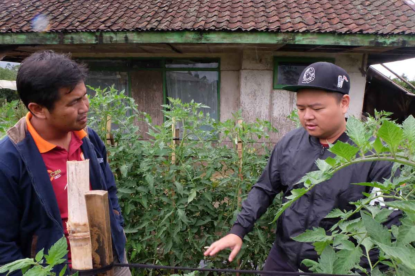 smallholder farming