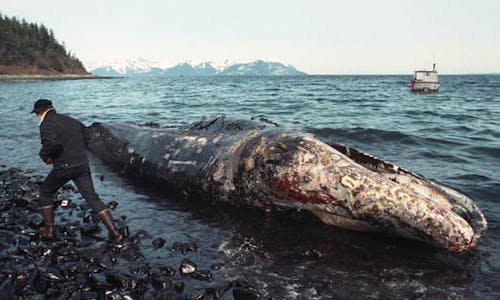Exxon Valdez 25th anniversary: Lessons learned, lessons lost