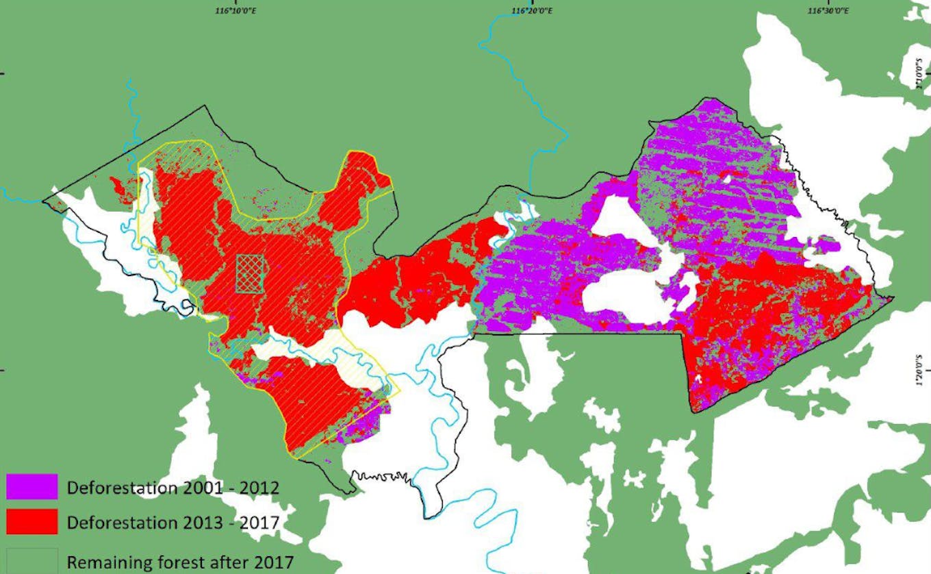 Deforestation in the concessions of PT Fajar Surya Swadaya, from 2001-2012 (in purple) and from 2013-2017 (in red). Sources: Forest cover from Indonesia’s Ministry of Environment and Forestry land cover maps from 2000 and 2015, tree cover loss from Hansen et al. 2013 with updates for 2017 from Global Forest Change.