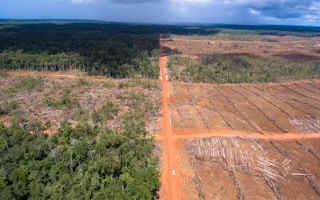 PT PAL deforestation